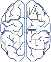 The Neuromodulation Division of the Semel Institute Logo